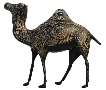 Brass Camel Figurine Vastu Premium Finished