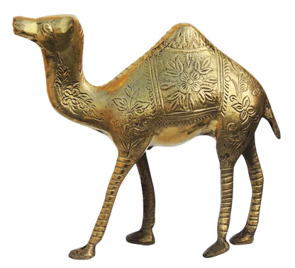 Brass Camel Figurine Vastu Premium Finished