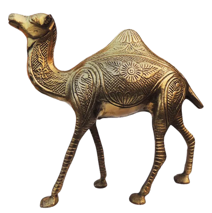 Brass Camel Figurine Vastu Premium Finished