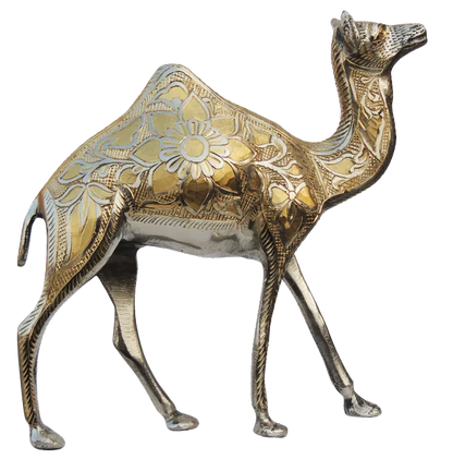 Brass Camel Figurine Vastu Premium Finished